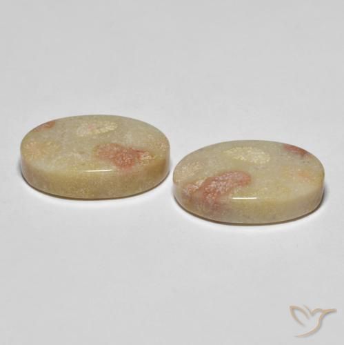 Gemme di Corallo fossile Multicolore naturale da 23.37 ct, Ovale, Opaco