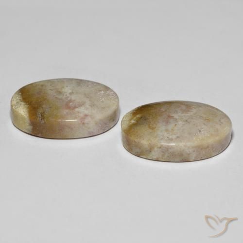 Gemme di Corallo fossile Multicolore naturale da 34.92 ct, Ovale, Opaco