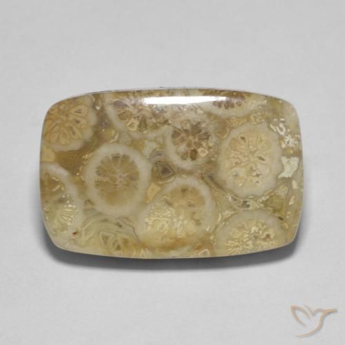 9.53ct Naturale Multicolore Corallo fossile, Cuscino, Opaco