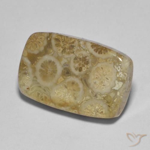 Corallo fossile Multicolore naturale da 9.53 ct, Cuscino, Opaco
