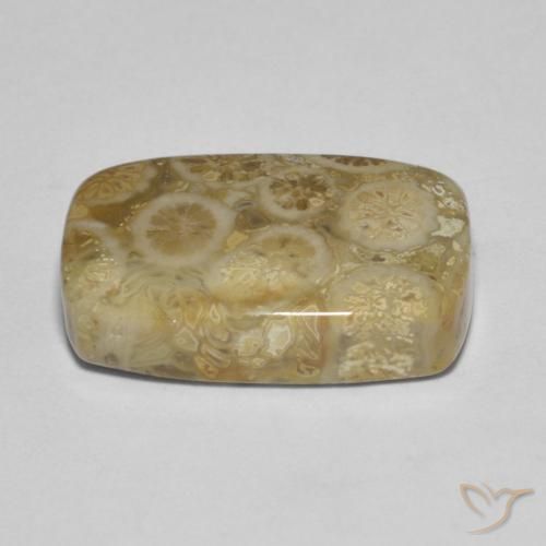 Corallo fossile Multicolore naturale da 9.53 ct, Cuscino, Opaco
