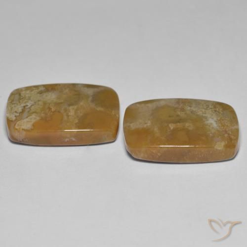 Gemme di Corallo fossile Multicolore naturale da 25.23 ct, Cuscino, Opaco