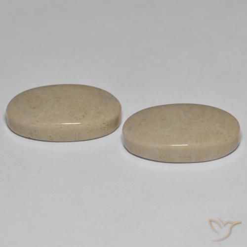 Gemme di Corallo fossile Multicolore naturale da 23.47 ct, Ovale, Opaco