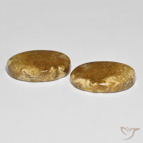 Gemme di Corallo fossile Multicolore naturale da 20.87 ct, Ovale, Opaco