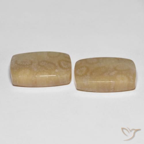 Gemme di Corallo fossile Multicolore naturale da 26.20 ct, Cuscino, Traslucido