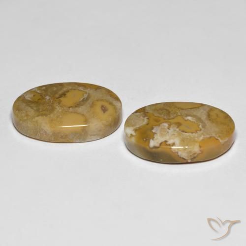 Gemme di Corallo fossile Multicolore naturale da 23.71 ct, Ovale, Opaco