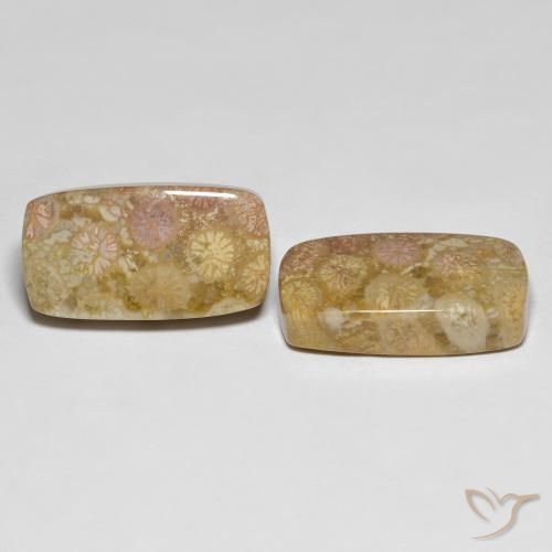 Gemme di Corallo fossile Multicolore naturale da 25.20 ct, Cuscino, Opaco
