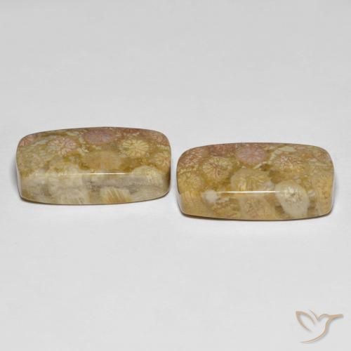 Gemme di Corallo fossile Multicolore naturale da 25.20 ct, Cuscino, Opaco