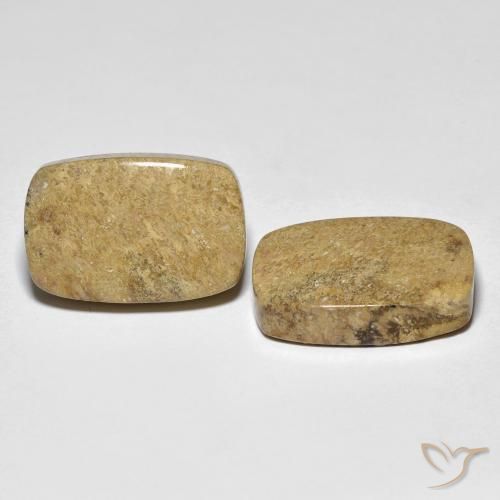 Gemme di Corallo fossile Multicolore naturale da 23.12 ct, Cuscino, Opaco