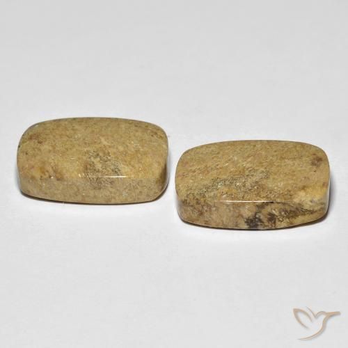 Gemme di Corallo fossile Multicolore naturale da 23.12 ct, Cuscino, Opaco