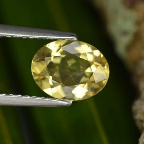 Berillo dorato naturale giallo da 1,22 ct, taglio ovale, VVS-VS