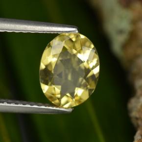 Berillo dorato naturale giallo da 1,22 ct, taglio ovale, VVS-VS