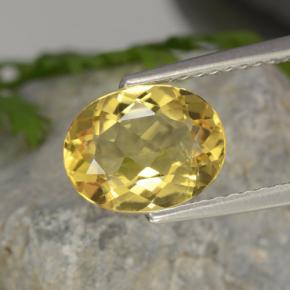 Berillo dorato naturale giallo da 1,52 ct, taglio ovale, VVS-VS