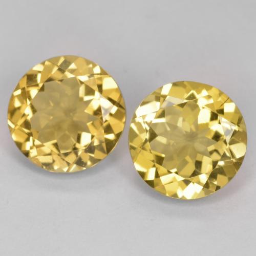 Gemme di Berillo dorato Oro medio naturale da 5.10 ct, Taglio rotondo, VVS-VS