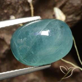 Grandidierite Blu medio-scuro verde naturale da 6.02 ct, Ovale, Traslucido