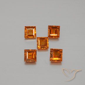 1.59ctw Naturale Arancio medio-scuro Granato hessonite, Quadrato, VS