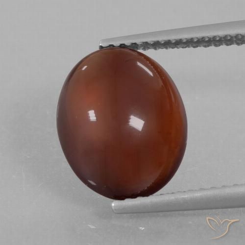 5.35ct Naturale Marrone caldo Granato hessonite, Ovale, Traslucido