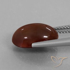 Granato hessonite Marrone medio-scuro naturale da 6.21 ct, Ovale, Traslucido