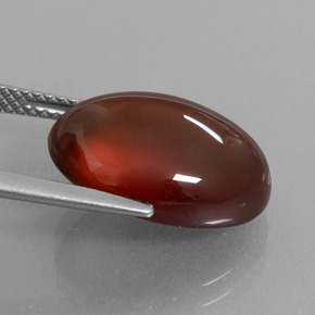 Granato hessonite Arancione naturale da 12.33 ct, Taglio ovale, Traslucido