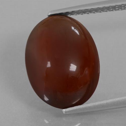 Granato essonite naturale marrone pecan da 7,03 ct, taglio ovale, traslucido