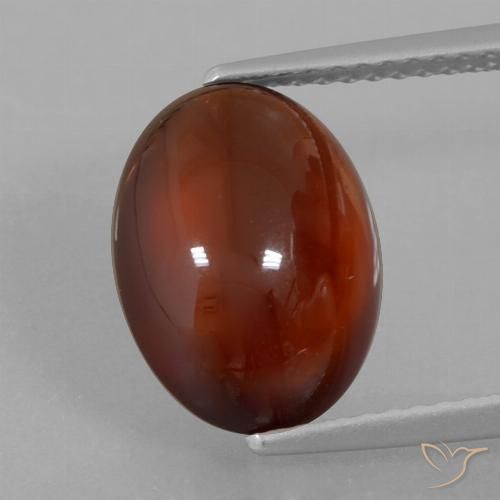 5.27ct Naturale marrone pecan Granato hessonite, Ovale, Traslucido