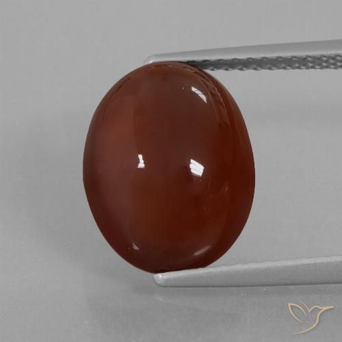 7.55ct Naturale marrone pecan Granato hessonite, Ovale, Traslucido