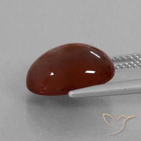 Granato hessonite marrone pecan naturale da 7.55 ct, Ovale, Traslucido