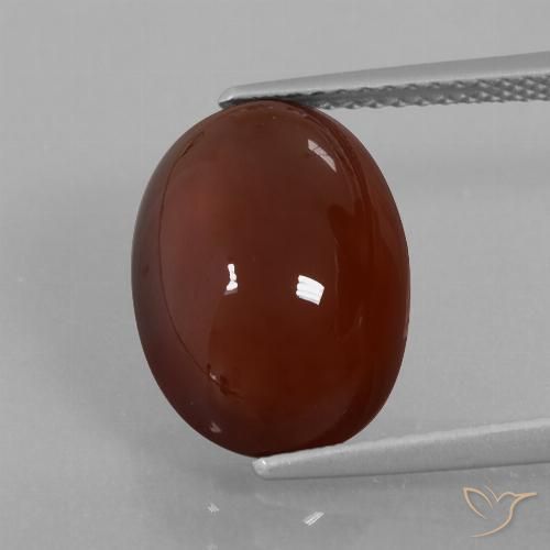 7.29ct Naturale Marrone medio-scuro Granato hessonite, Ovale, Traslucido