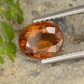 Granato hessonite Arancione scuro naturale da 1.79 ct, Ovale, VS-SI