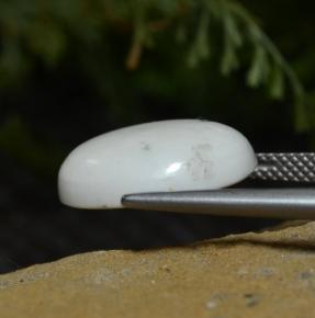 Howlite naturale bianco da 8,33 ct, taglio ovale, opaco