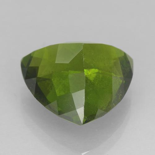 Idocrasio Alghe Verdi naturale da 4.20 ct, Taglio trillion, VS