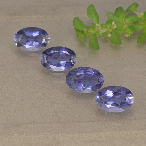 Gemme di Iolite Viola scuro naturale da 1.49 ct, Taglio ovale, VS