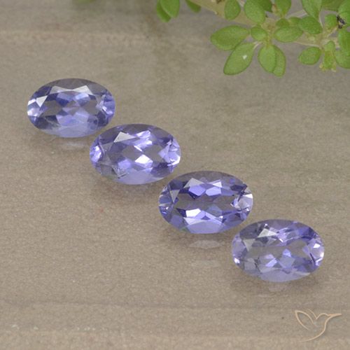 Gemme di Iolite Viola medio-chiaro naturale da 1.56 ct, Taglio ovale, VVS-VS
