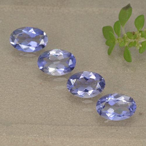 Gemme di Iolite Intenso Viola Blu naturale da 1.41 ct, Taglio ovale, VS