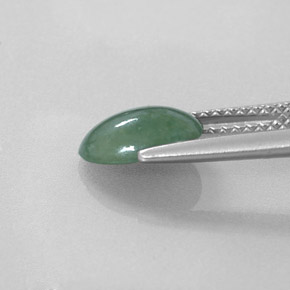 Giadeite Verde naturale da 1.51 ct, Taglio ovale, Traslucido