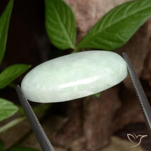 Giadeite Verde chiaro naturale da 27.82 ct, Ovale, Opaco