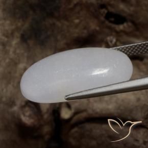 Giadeite Grigio medio naturale da 16.11 ct, Ovale, Traslucido