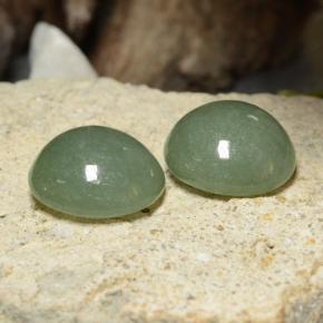 Gemme di Giadeite Verde medio naturale da 17.30 ct, Taglio rotondo, Traslucido