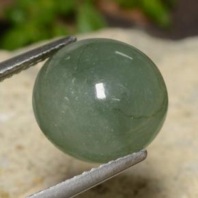 Giadeite Verde Pino Pallido naturale da 7.20 ct, Taglio rotondo, Traslucido