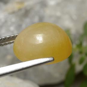 Giadeite Giallo oro naturale da 7.08 ct, Taglio ovale, Traslucido