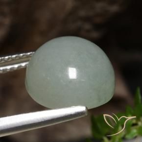 Giadeite Verde bosco pallido naturale da 6.51 ct, Rotondo, Traslucido