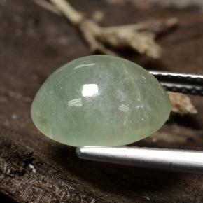 Giadeite Verde medio naturale da 6.47 ct, Taglio ovale, Traslucido
