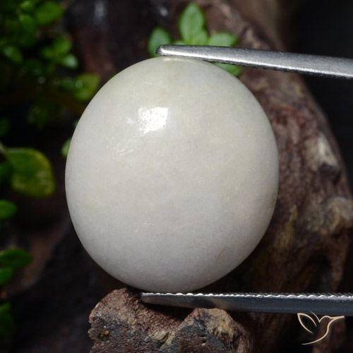 24.23ct Naturale Grigio molto chiaro Giadeite, Ovale, Traslucido