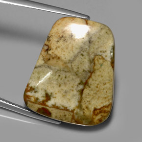 Diaspro naturale multicolore da 33,84 ct, forma fantasia, traslucido