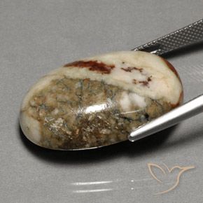 Diaspro Multicolore naturale da 35.14 ct, Ovale, Opaco