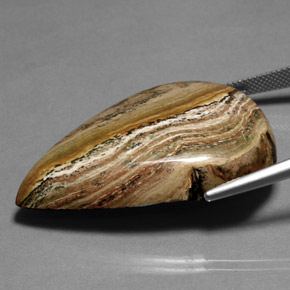 Diaspro naturale multicolore da 66,36 ct, taglio a pera, opaco