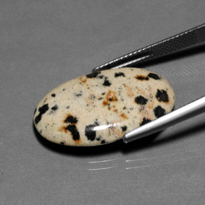 Diaspro Multicolore naturale da 12.82 ct, Taglio ovale, Opaco