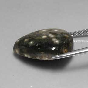 Diaspro naturale multicolore da 24,92 ct, taglio a pera, opaco