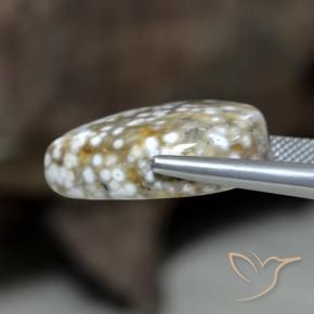 Diaspro Multicolore naturale da 23.63 ct, Forma a pera, Opaco