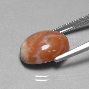 Diaspro Multicolore naturale da 9.66 ct, Taglio ovale, Opaco